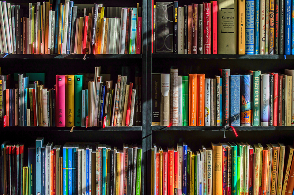 Bookshop shelves filled with quality pre-loved books