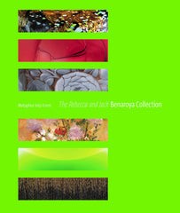 Metaphor Into Form: The Rebecca and Jack Benaroya Collection by Stefano Catalani - used book at Perkology Books