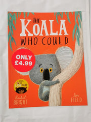 10 Large Children's Picture / Reading Book Bundle for Early Years