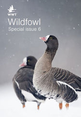 Wildfowl Special Issue 6 - Wildfowl Journal (Paperback)