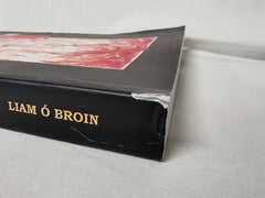 100 Lithographs: Dante's Divine Comedy by Liam Ã Broin