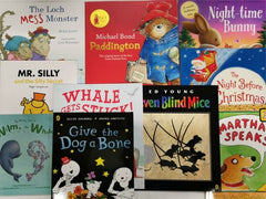10 Large Children's Picture Books Bundle for Young Children