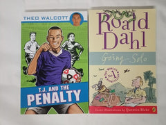 15 Books for Boys, Chapter Books Bundle Age 8+, Random Selection, Mixed Authors
