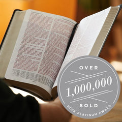 KJV Holy Bible: Personal Size Giant Print with 43,000 Cross References