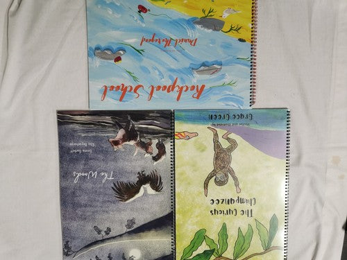 Sensory Story Time Book 3 Bundle| Curious Chimpanzee, Rockpool School, The Woods