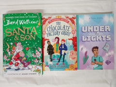 15 Books for Boys, Chapter Books Bundle Age 8+, Random Selection, Mixed Authors