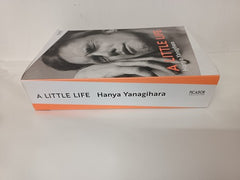 A Little Life (Picador Collection)
