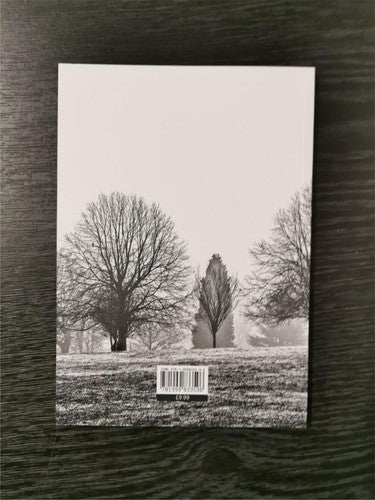 The Therapy Group and Other Poems by Gillian Hutchinson