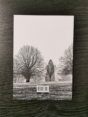 The Therapy Group and Other Poems by Gillian Hutchinson