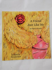 Young Children's Fiction Picture Books Large Collection of 10 Pre Loved Books