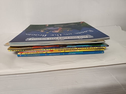 Bundle of 10 Julia Donaldson books inc. The Gruffalo, Room on the Broom etc