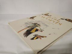 The Lost Words by Jackie Morris and Robert Macfarlane