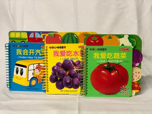*SET OF 3* Colourful Fun Enlightenment Book in Chinese
