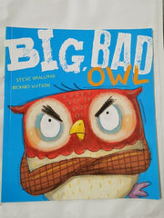 Young Children's Fiction Picture Books Large Collection of 10 Pre Loved Books