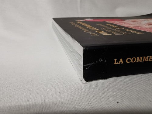 100 Lithographs: Dante's Divine Comedy by Liam Ã Broin