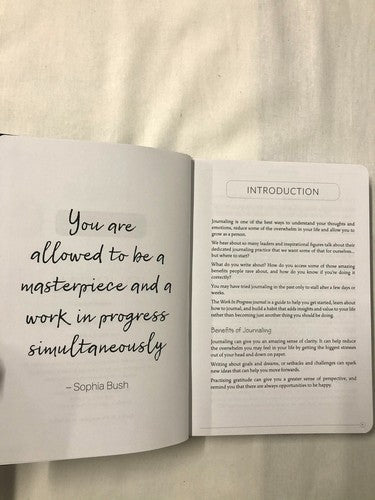 WORK IN PROGRESS JOURNAL By George Anderson & Alexa Whitten
