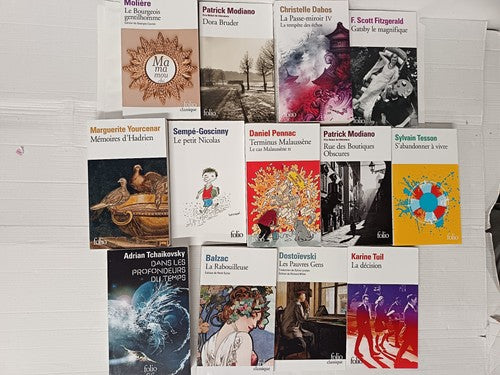Bundle of 13 French Books, Including Books by F. Scott Fitzgerald, Balzac & more