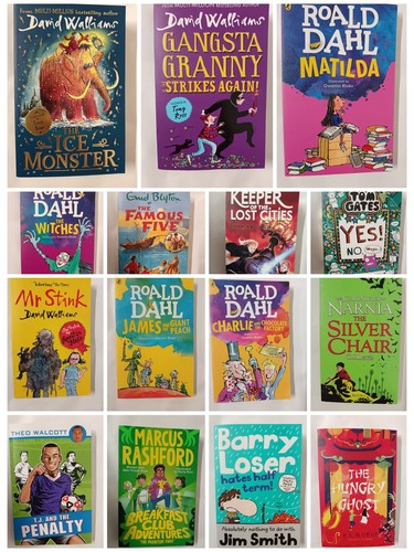 15 Books for Boys, Chapter Books Bundle Age 8+, Random Selection, Mixed Authors