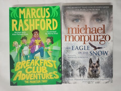 15 Books for Boys, Chapter Books Bundle Age 8+, Random Selection, Mixed Authors