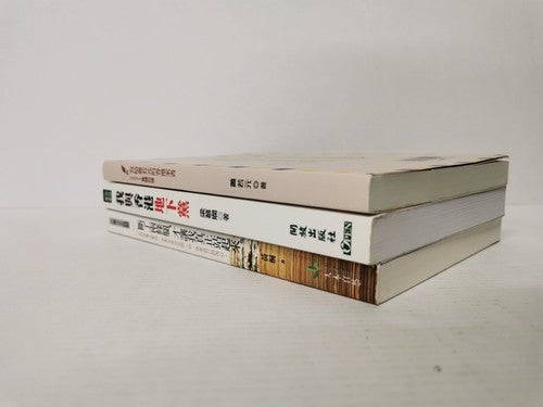 Bundle of 3 Chinese Language books