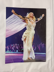 Living Legends Magazine, Lady Gaga - Collector's Edition