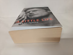 A Little Life (Picador Collection)