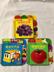 *SET OF 3* Colourful Fun Enlightenment Book in Chinese