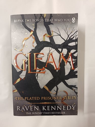 Gleam: The dark fantasy romance TikTok sensation