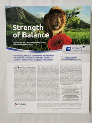 Rheumatology Volume 60, Issue 6, June 2021