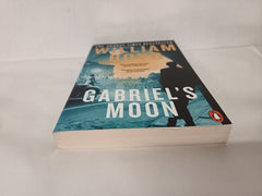 Gabriel's Moon: 'A cinematic tale of globe-trotting adventure' Guardian