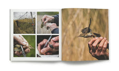Space For Nature A Wildlife Prospectus For Clinton Devon Estates