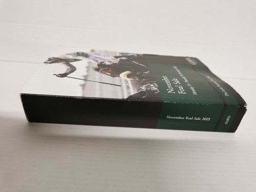 The Irish National Foal Sale November 2021 Goffs