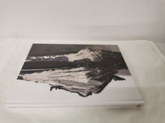 The Artist in the Gallery Hall - Large Drawings