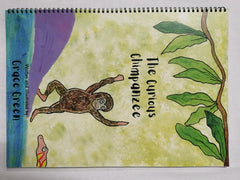 Sensory Story Time Book 3 Bundle| Curious Chimpanzee, Rockpool School, The Woods