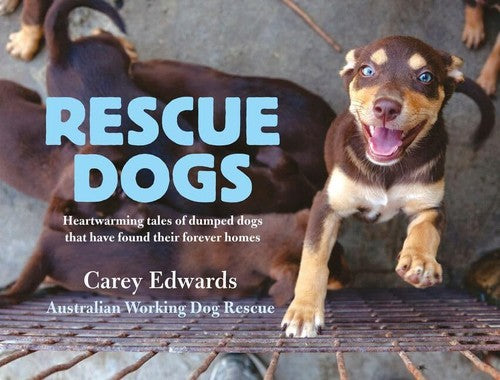 Rescue Dogs: Heartwarming tales of dumped dogs that have found their home