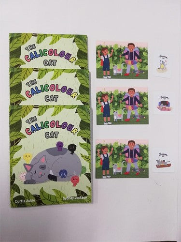 The Calicolour Cat - Book For Children About Emotions