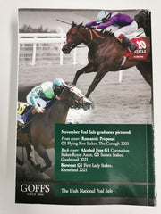 The Irish National Foal Sale November 2021 Goffs