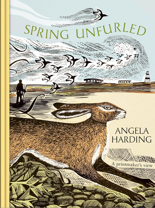 Spring Unfurled: part of a beautiful seasonal quartet from beloved illustrator by Angela Harding - used book at Perkology Books