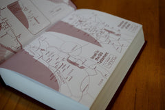 NIV Popular Bible (New International Version)