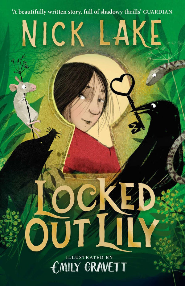 Locked Out Lily by Nick Lake - used book at Perkology Books