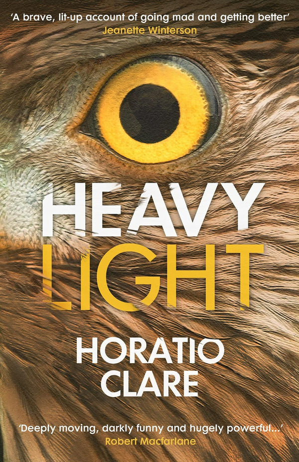 Heavy Light: A Journey Through Madness, Mania and Healing [Paperback] Clare, Hor - used book at Perkology Books