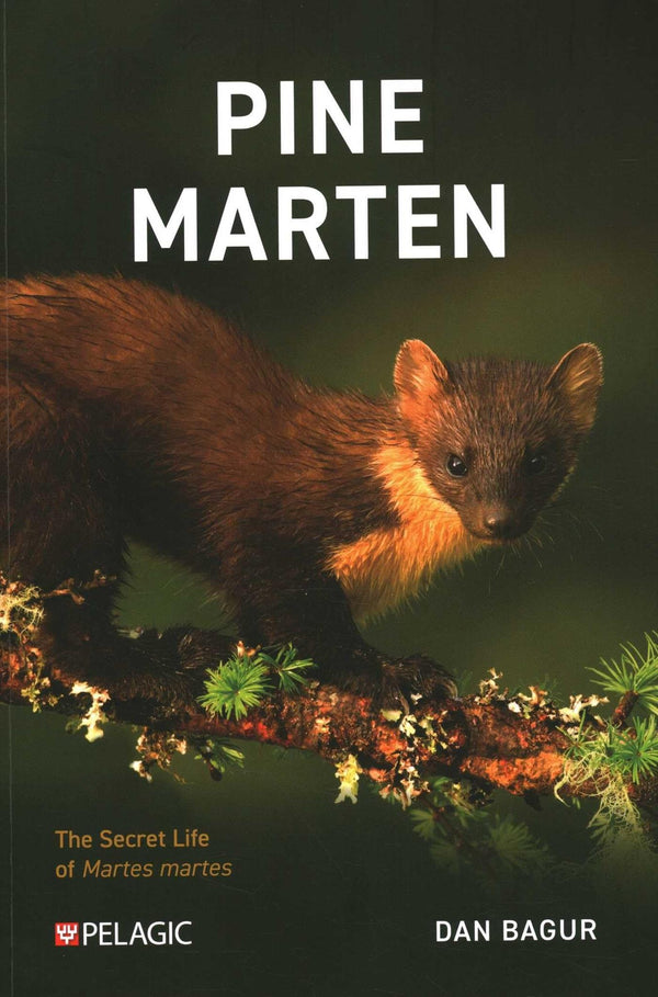 Pine Marten: The Secret Life of Martes martes (Pelagic Monographs) by Dan Bagur - used book at Perkology Books