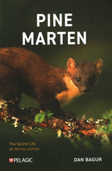 Pine Marten: The Secret Life of Martes martes (Pelagic Monographs) by Dan Bagur - used book at Perkology Books