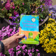 One Summer in Provence: 'Vines and olives and love ... a superb read!' by Carol Drinkwater - used book at Perkology Books