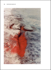 Can the Seas Survive Us?