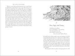 The Life of the Robin: Voted Britain's National Bird by David Lack - used book at Perkology Books