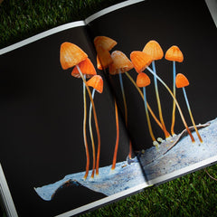 Entangled Life (The Illustrated Edition): **No Dust Jacket**