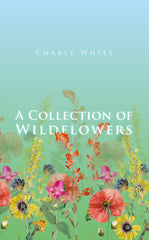 A Collection of Wildflowers by Charly White - used book at Perkology Books