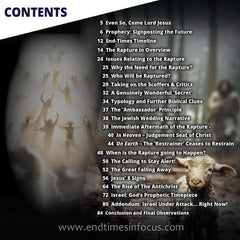 The Rapture of the Church by Phil Davies - used book at Perkology Books