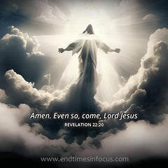 The Rapture of the Church by Phil Davies - used book at Perkology Books